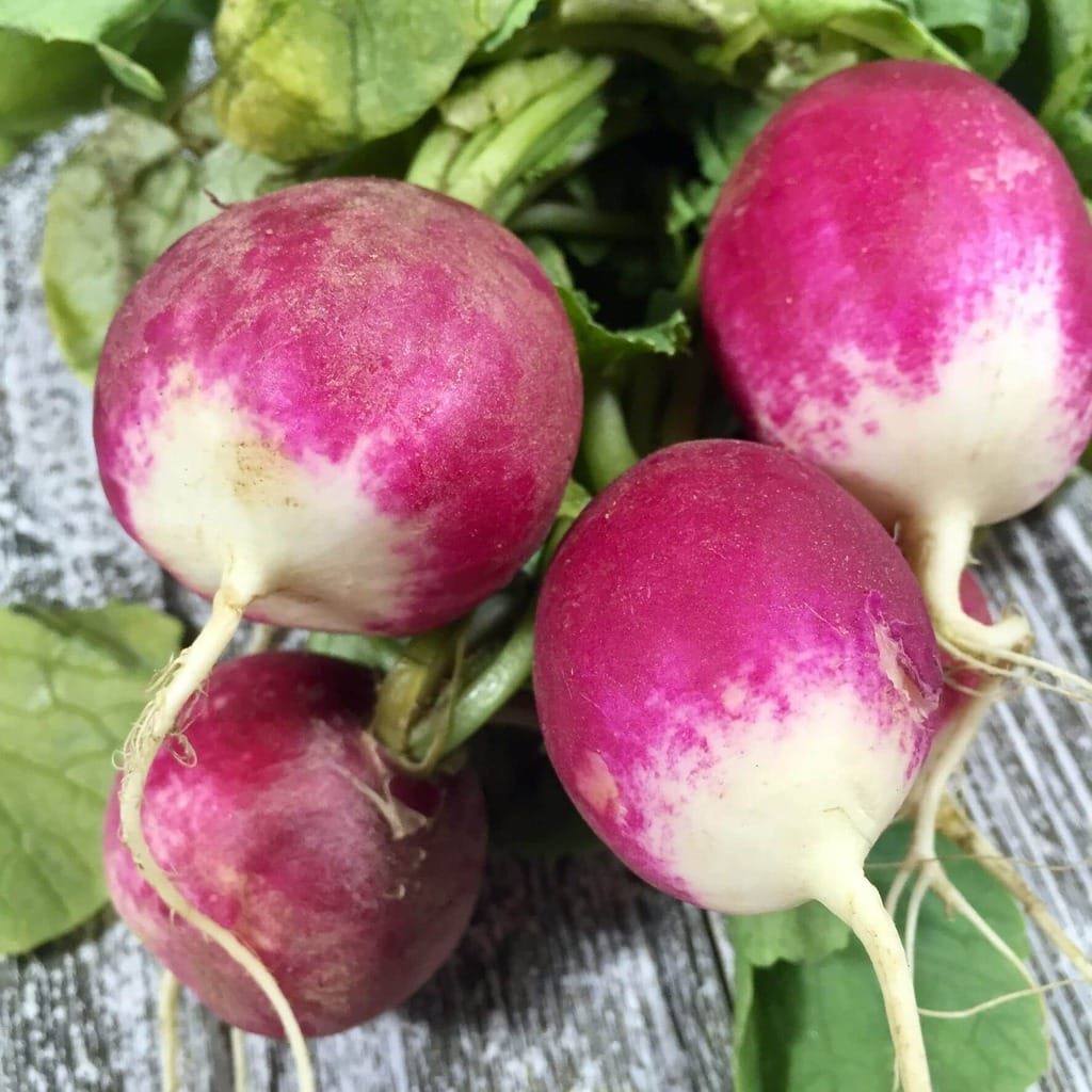 Radish Bruschetta