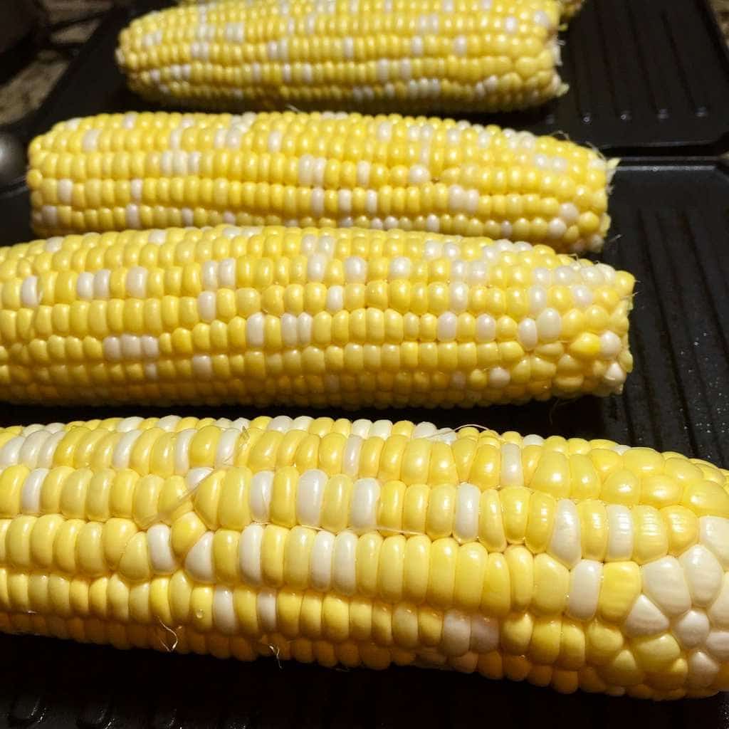 Fresh corn on the cob